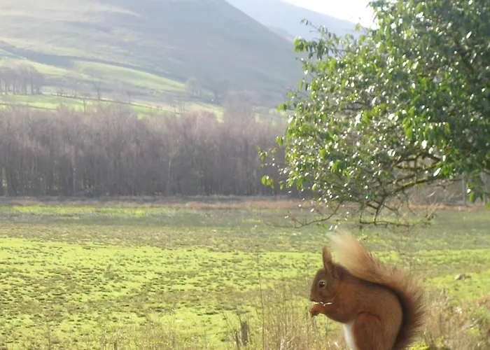 فندق Overwater Hall باسنثوايت