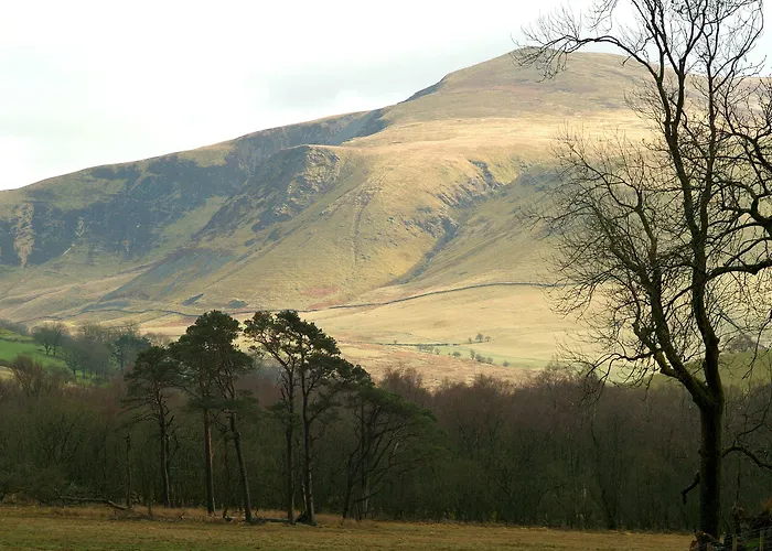 Overwater Hall فندق