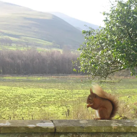 酒店 水上会馆酒店 巴森斯韦特